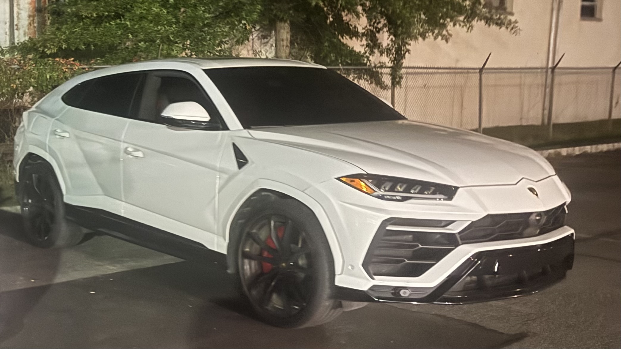 Impavido Exotics
